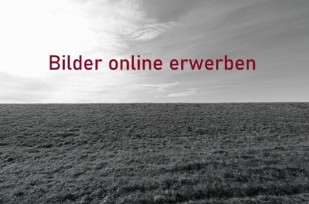Bilder online erwerben